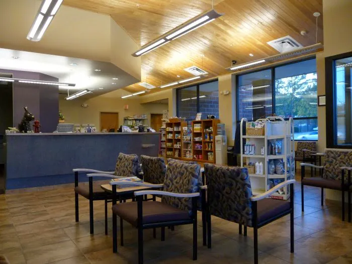 VCA Woodlands Animal Hospital Picture 8