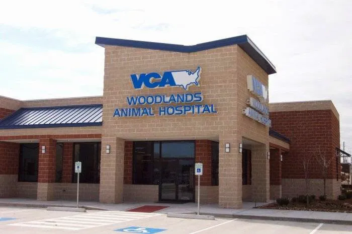 VCA Woodlands Animal Hospital Picture 3