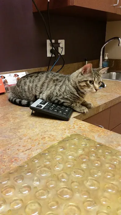 VCA Woodlands Animal Hospital Picture 5