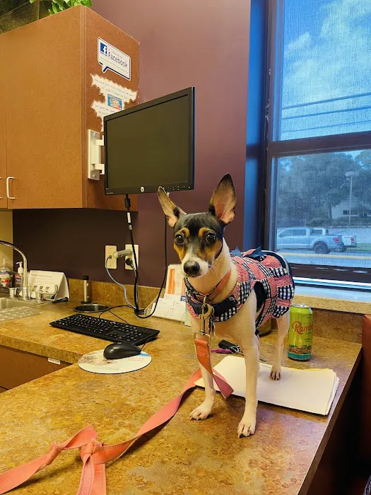 VCA Woodlands Animal Hospital Picture 7