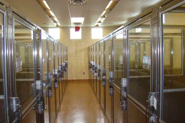 VCA Woodlands Animal Hospital Picture 4