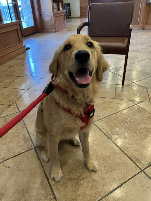 True Companion Animal Hospital Picture 2