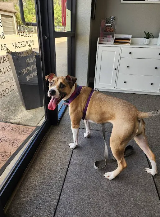 True Companion Animal Hospital Picture 3