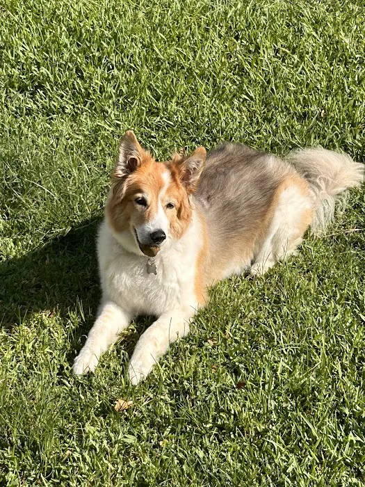 True Companion Animal Hospital Picture 5