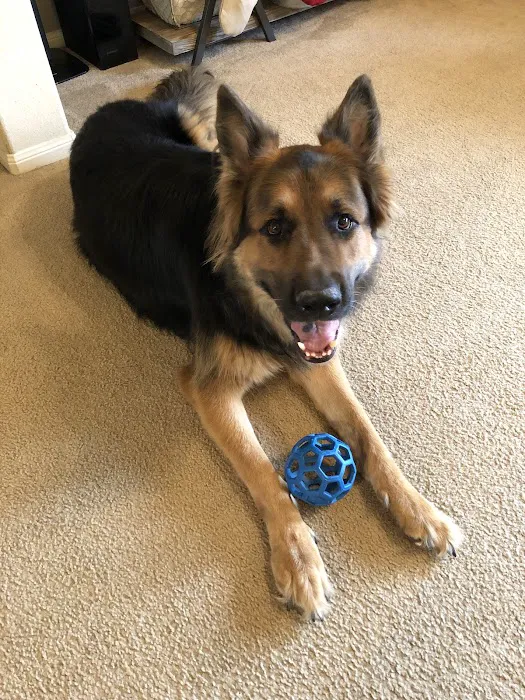True Companion Animal Hospital Picture 10