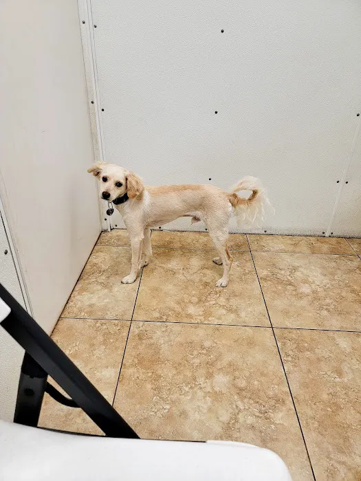 Texas Litter Control Picture 9