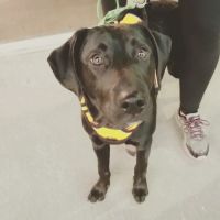 Texas Litter Control ico
