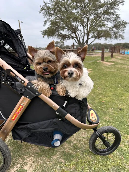 Houston Pet Dental Picture 3