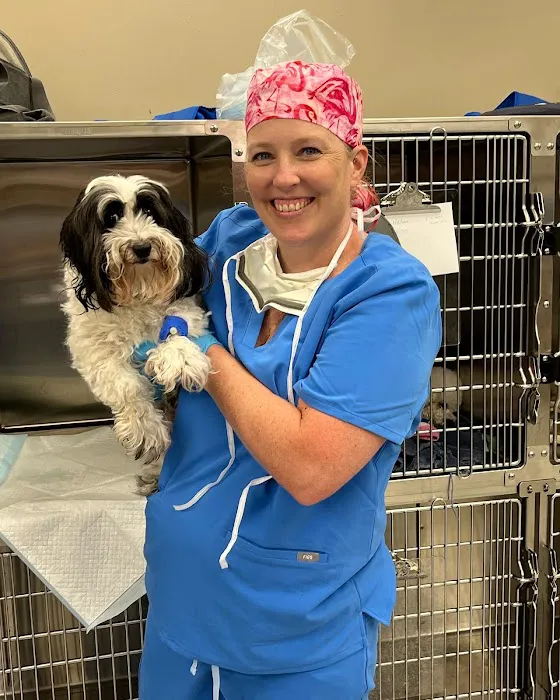 H-Town Veterinary Specialists (Woodlands) Picture 1