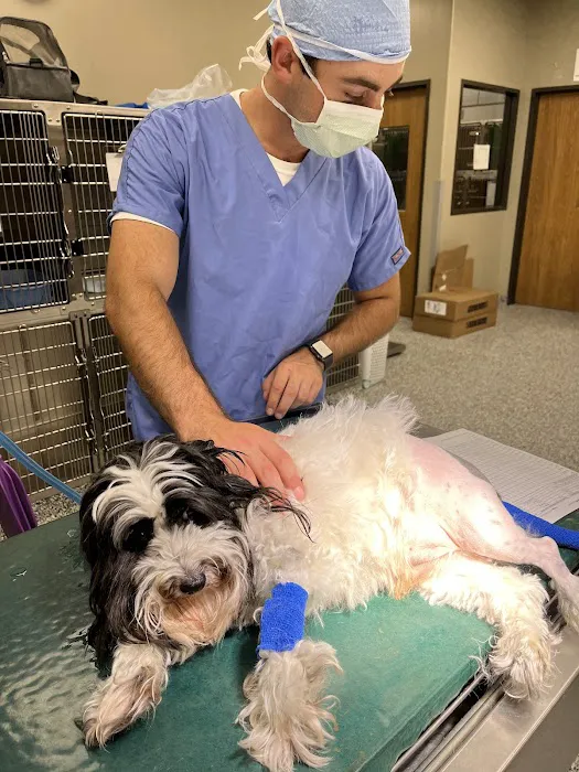 H-Town Veterinary Specialists (Woodlands) Picture 2