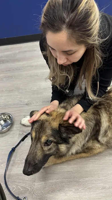 PetLife Urgent Care & Wellness Center Picture 1