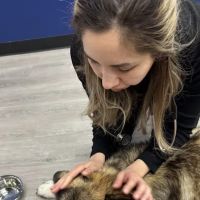PetLife Urgent Care & Wellness Center ico