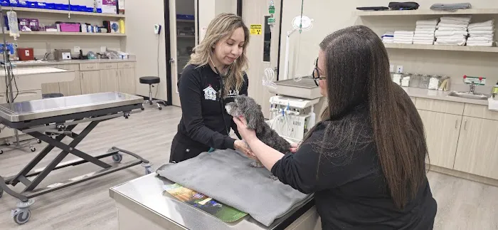 PetLife Urgent Care & Wellness Center Picture 9