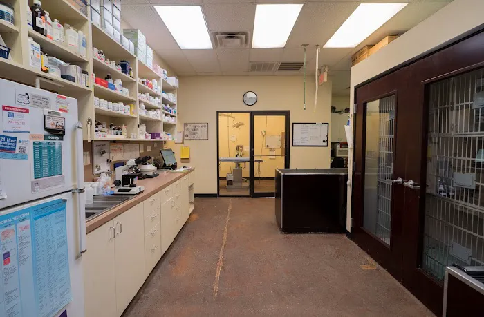 Champion Wood Animal Hospital Picture 1