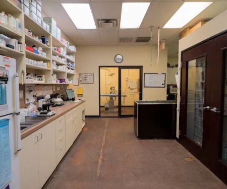 Champion Wood Animal Hospital