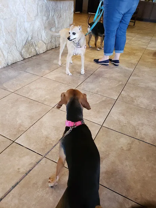 All Community Animal Hospital Picture 6