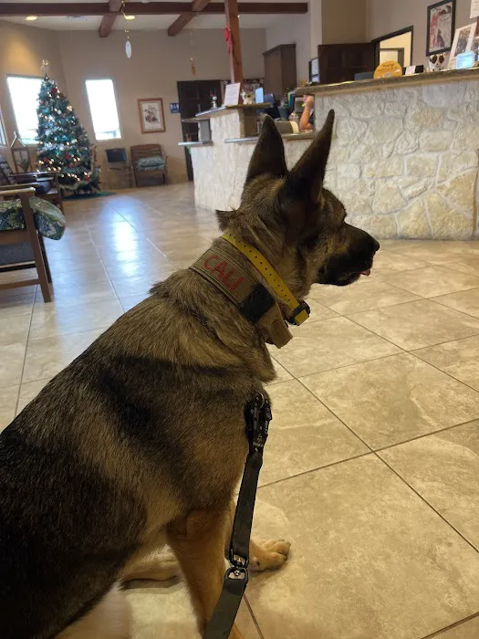 All Community Animal Hospital Picture 9
