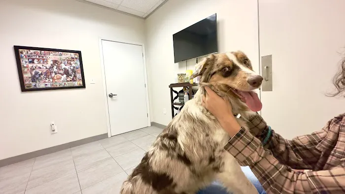 Northpark Animal Hospital Picture 7