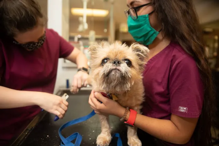 Kings Crossing Animal Hospital Picture 2