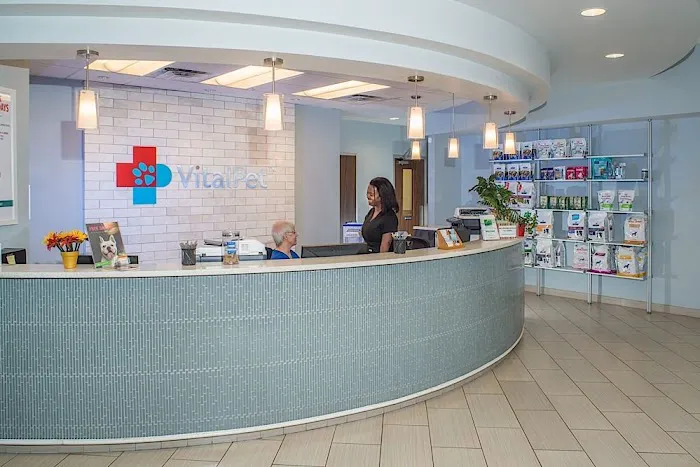 Kings Crossing Animal Hospital Picture 4