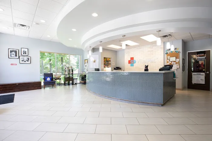 Kings Crossing Animal Hospital Picture 6