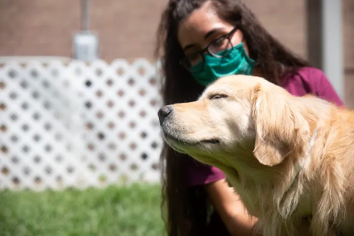 Kings Crossing Animal Hospital Picture 8