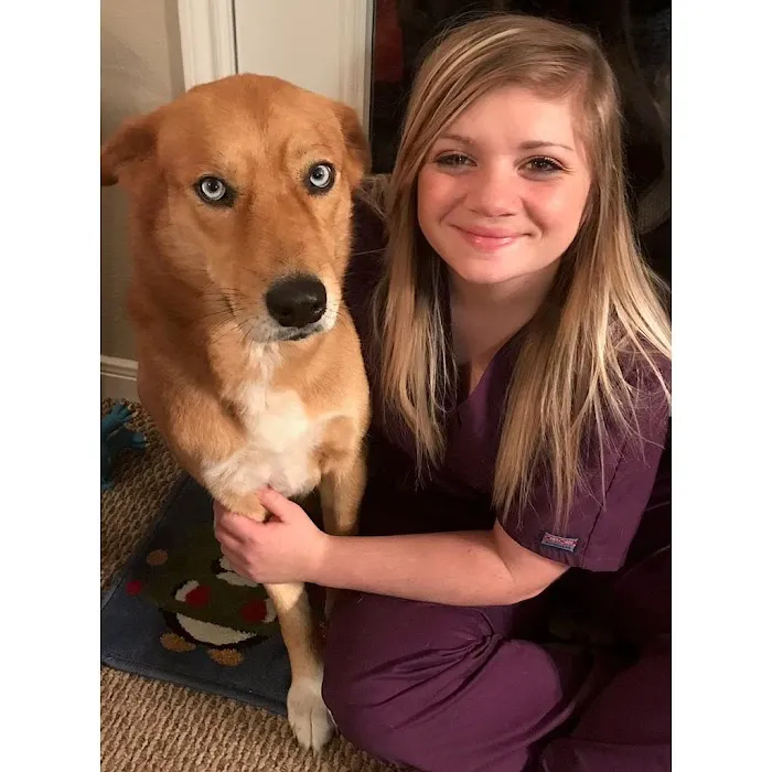Kings Crossing Animal Hospital Picture 7