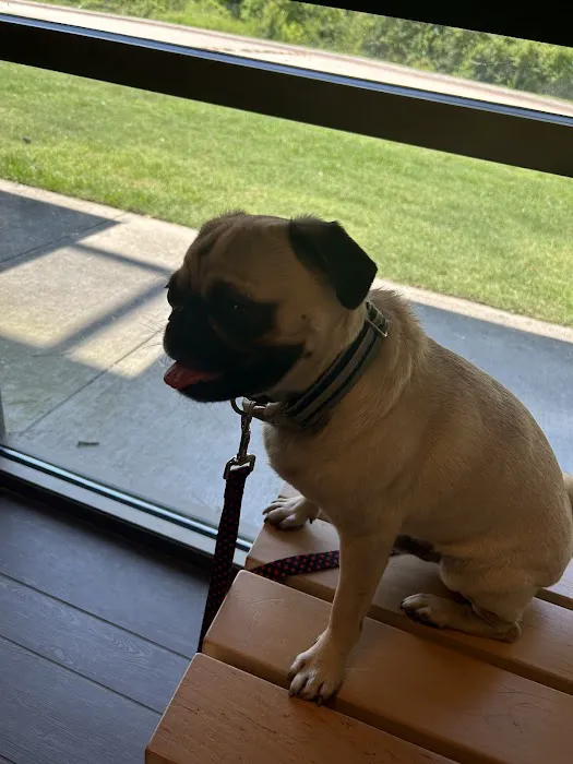 Banfield Pet Hospital Picture 8