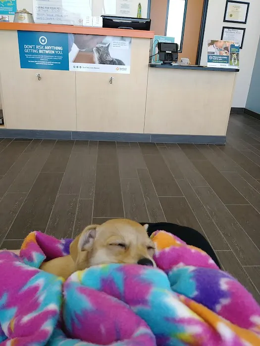 Banfield Pet Hospital Picture 5
