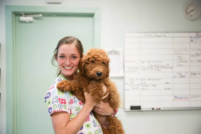 Marina Bay Animal Hospital Picture 9