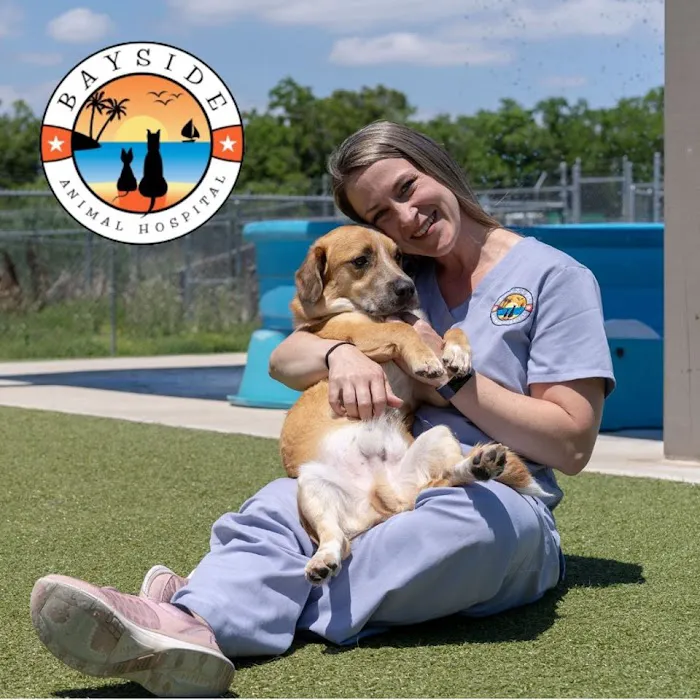 Bayside Animal Hospital | Kemah, TX Picture 9
