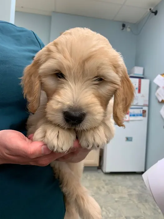 Bayside Animal Hospital | Kemah, TX Picture 1