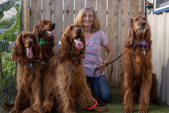 Bayside Animal Hospital | Kemah, TX Picture 6