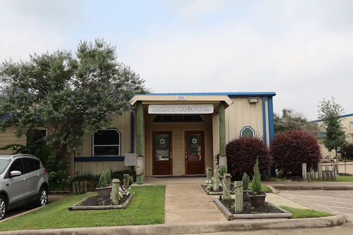 Bayside Animal Hospital | Kemah, TX Picture 3