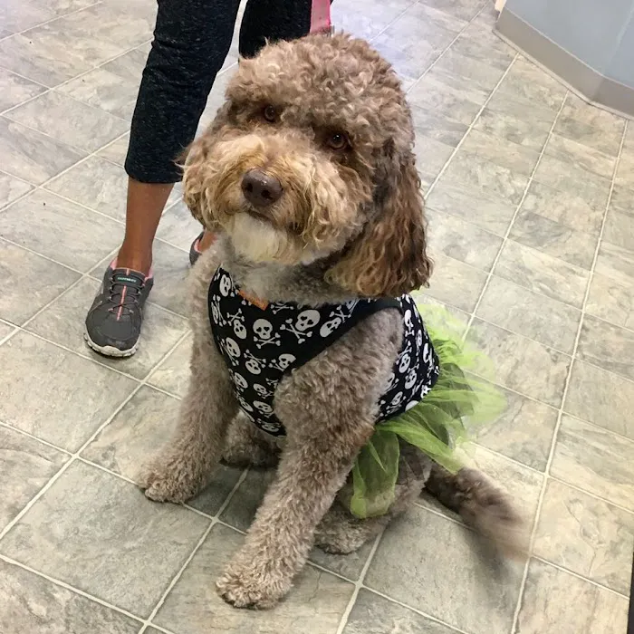 Bayside Animal Hospital | Kemah, TX Picture 2