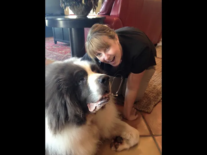 Sea Paws Veterinary Services Picture 10