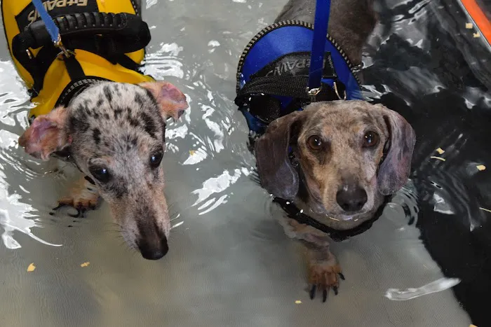 Safari Veterinary Care Centers Picture 8