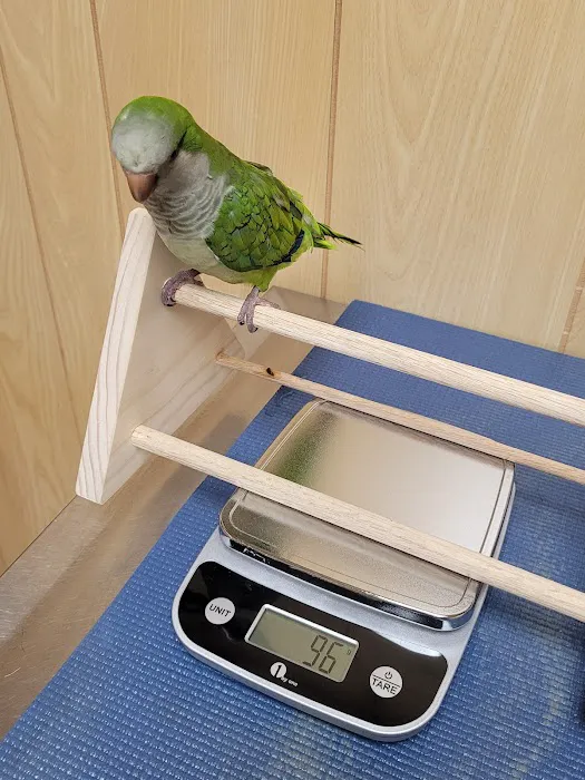 Fur Feathers and Friends Veterinary Hospital Picture 6