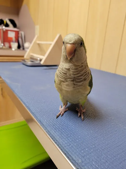 Fur Feathers and Friends Veterinary Hospital Picture 5