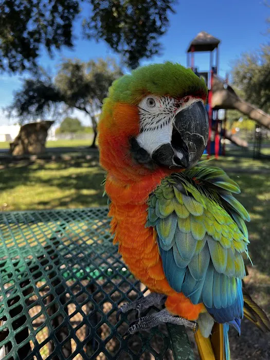 Fur Feathers and Friends Veterinary Hospital Picture 10