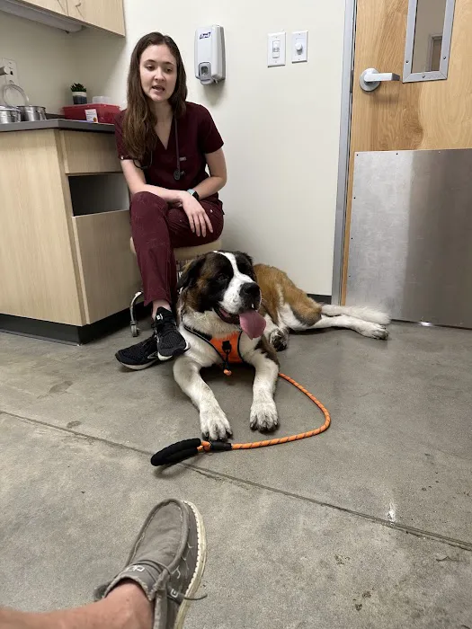 Vetco Total Care Animal Hospital Picture 9