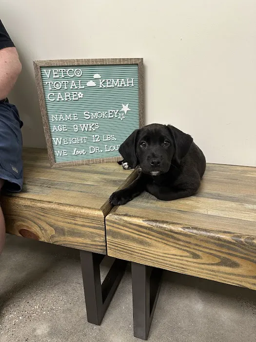 Vetco Total Care Animal Hospital Picture 3