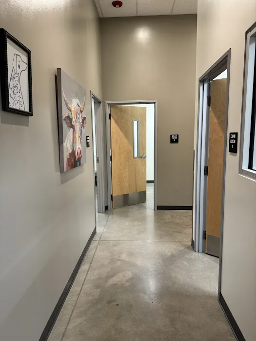 Vetco Total Care Animal Hospital Picture 5