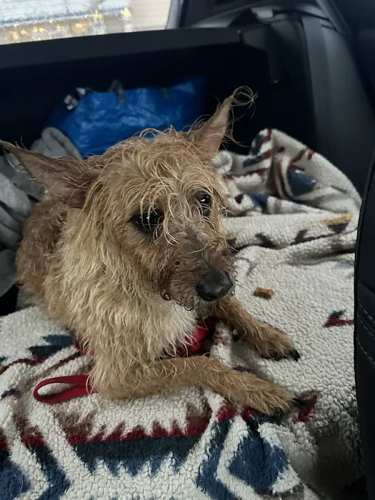 Vetco Total Care Animal Hospital Picture 6