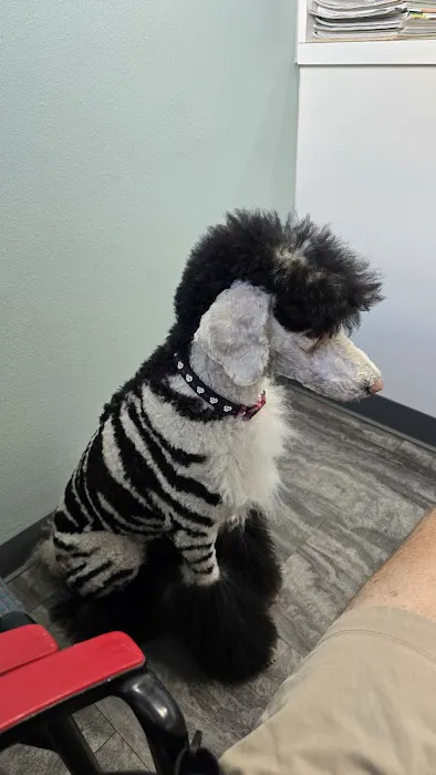Bay Creek Animal Clinic Picture 1