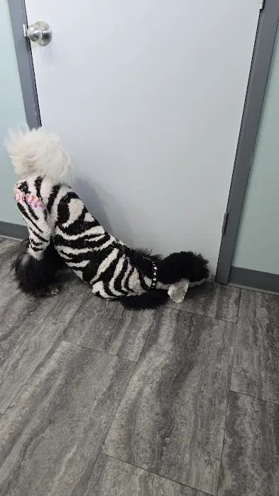 Bay Creek Animal Clinic Picture 3