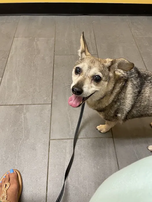 Banfield Pet Hospital Picture 5