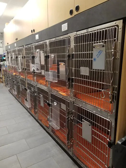 Banfield Pet Hospital Picture 9