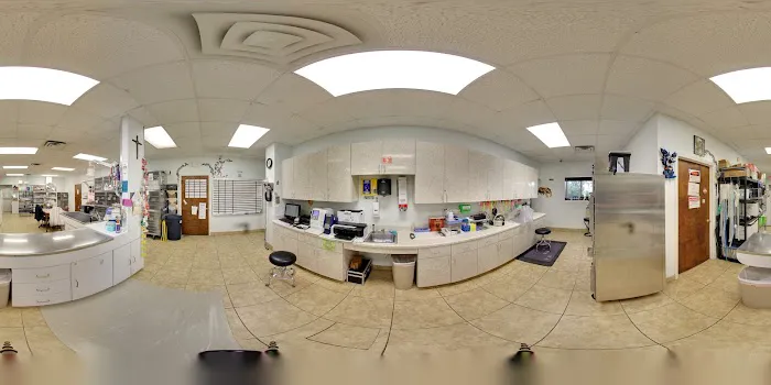 Animal Kingdom Pet Hospital Picture 1