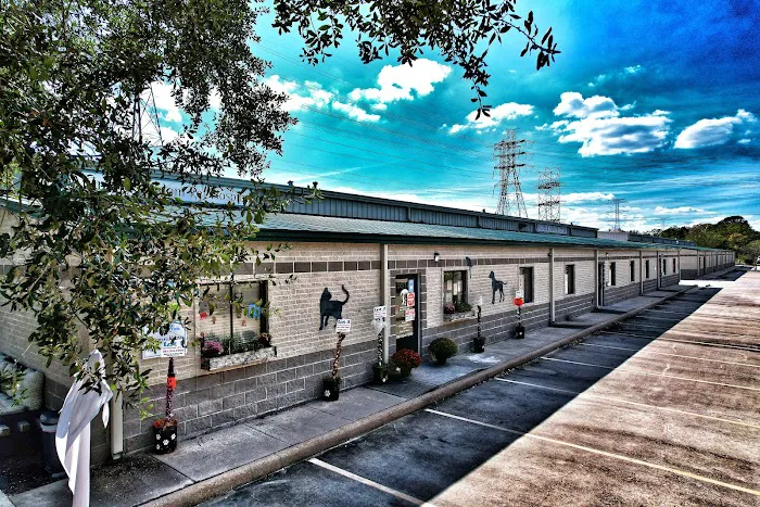 Animal Kingdom Pet Hospital Picture 10